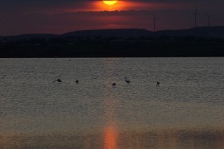 L'UE s'est fixé l'objectif ambitieux de zéro pollution maritime d'ici 2030. Mais cet objectif, "avec plus des trois quarts des mers européennes confrontés à un problème de pollution, (...) semble hors de portée", constate le rapport de la Cour des comptes européennes. KEYSTONE/AP/PETROS KARADJIAS